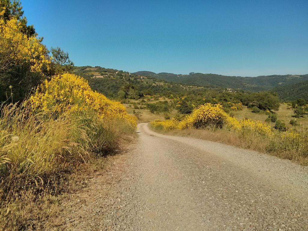 Forte Di Tregognano Chiaveretto Phòng bức ảnh