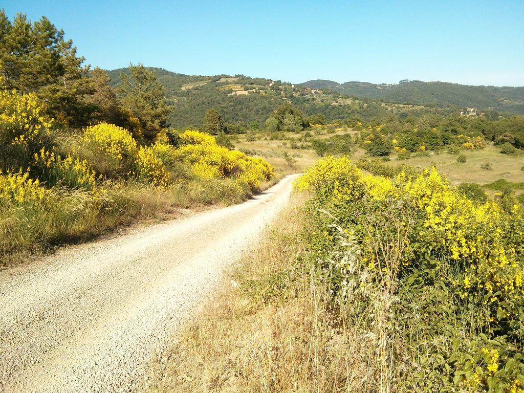Forte Di Tregognano Chiaveretto Phòng bức ảnh