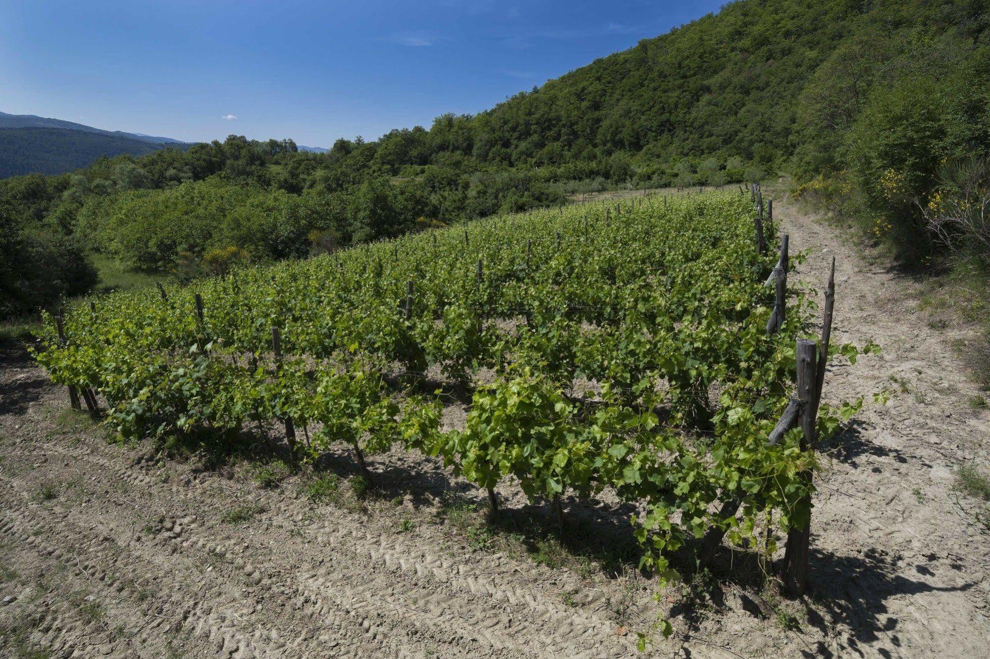 Forte Di Tregognano Chiaveretto Ngoại thất bức ảnh